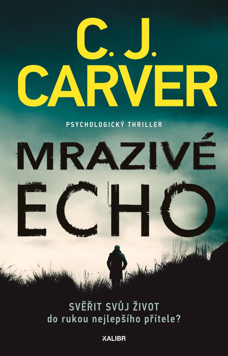 Mrazivé echo (Psycholog Harry Hope #1)