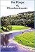 The Magic of Meadowbrooke: A Novel of Darcy and the Bennets
