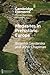 Megasites in Prehistoric Europe (Elements in the Archaeology of Europe)