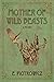 Mother of Wild Beasts by E. Piotrowicz