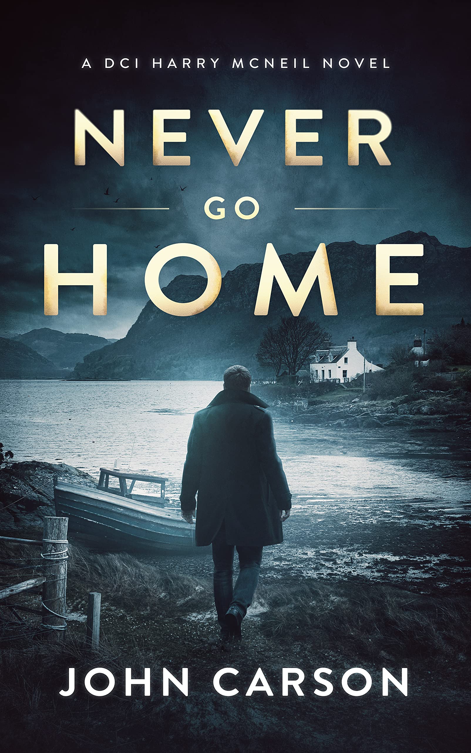 Never Go Home (DCI Harry McNeil, #15)