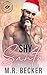Shy Santa (Welcome to Kissing Springs #5)