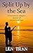 Split Up by the Sea by Len Tran
