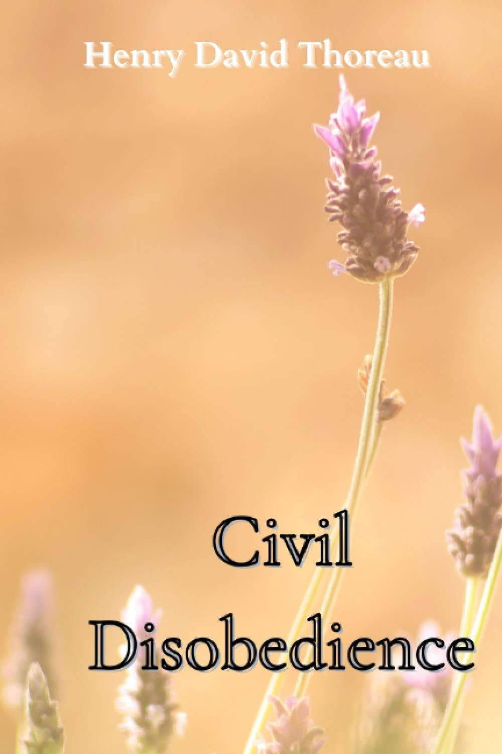 Civil Disobedience and Other Essays