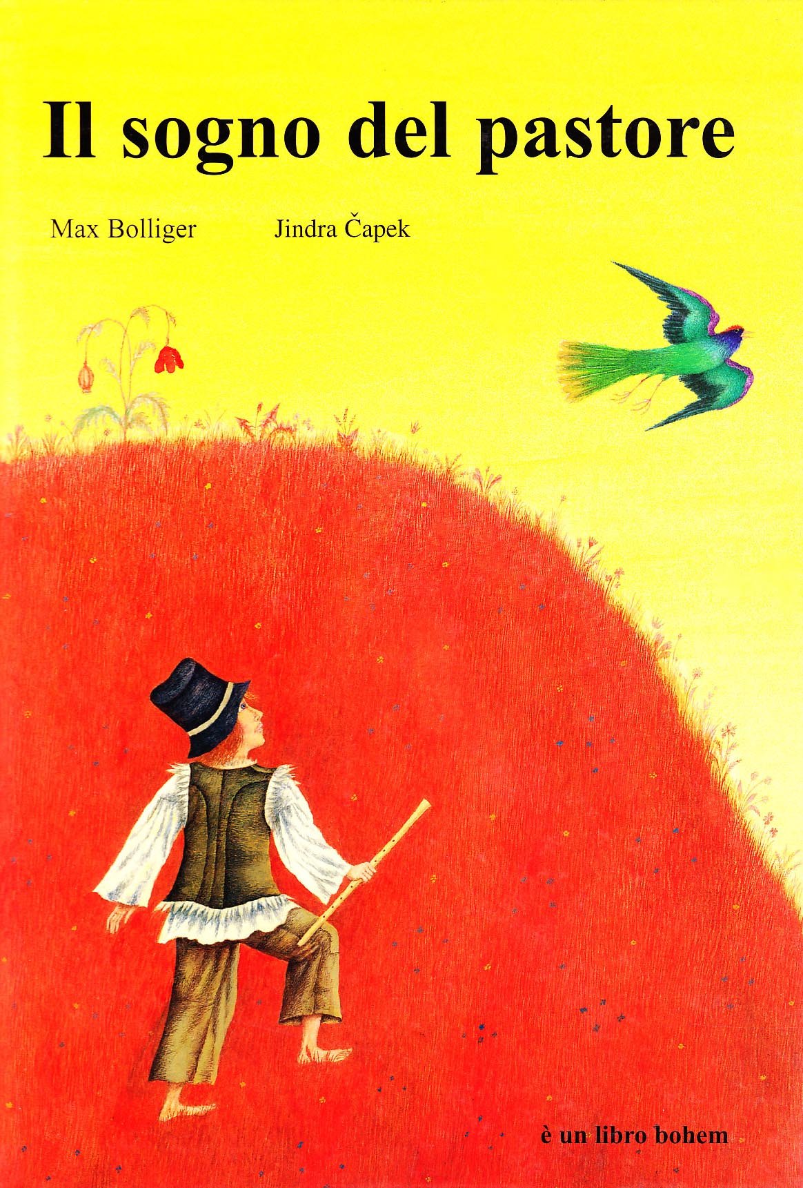 Il sogno del pastore (Hardcover)