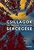Csillagok ​sercegése by Jón Kalman Stefánsson