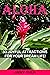 Aloha - 33 Joyful Attractio...
