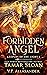Forbidden Angel (Keepers of...