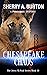 Chesapeake Chaos (Jerry McNeal, #10)