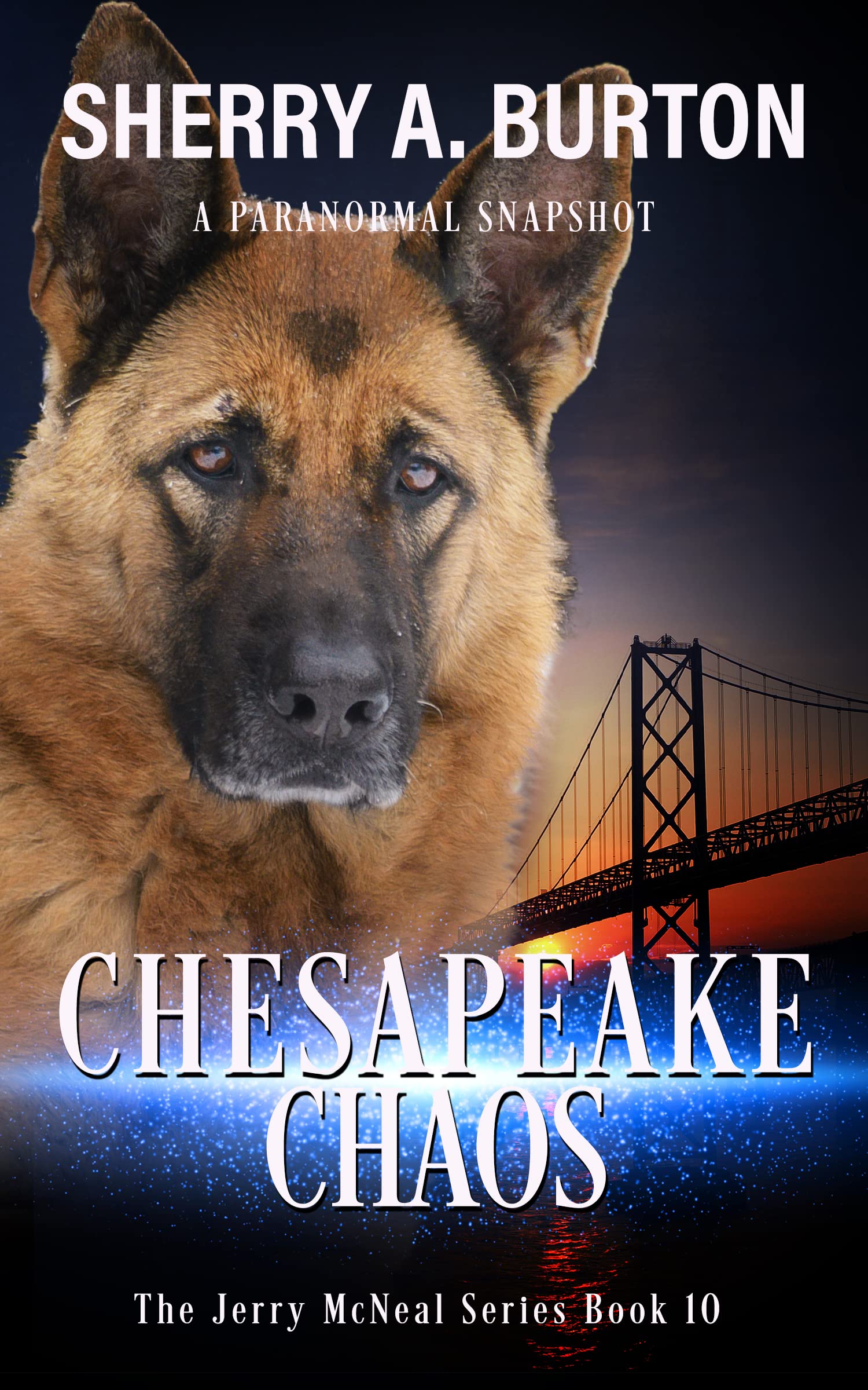 Chesapeake Chaos (Jerry McNeal, #10)