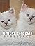 The Photo Of Kittens, Cute Cats by Philip Chapman