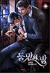 둘만의 밤 총4권 둘만의 밤 총4권