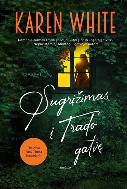 Sugrįžimas į Trado gatvę (Trado gatvė, #4)
