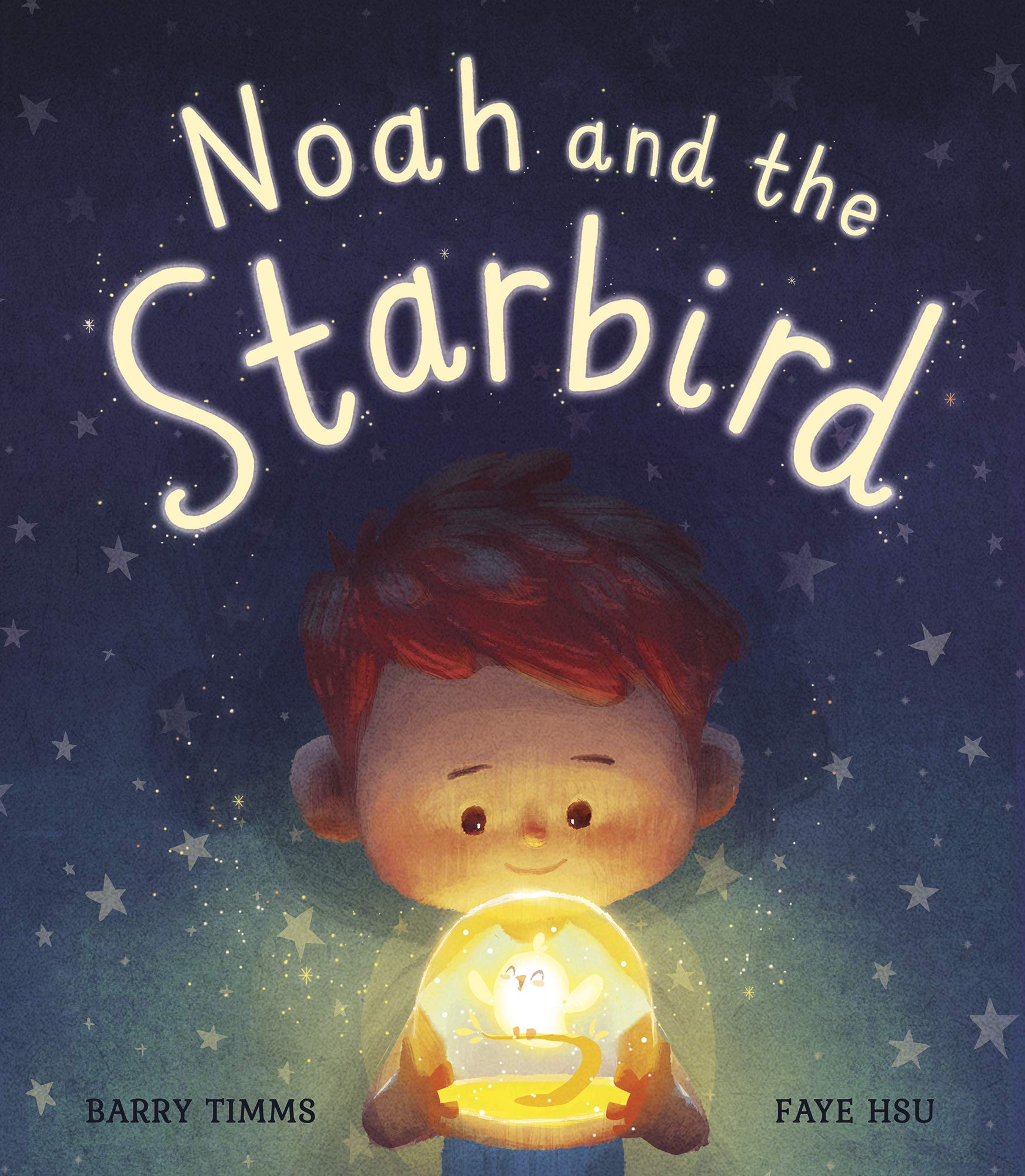 Noah and the Starbird (Paperback)