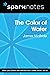 The Color of Water (SparkNotes Literature Guide) (SparkNotes Literature Guide Series)