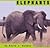 Elephants (Pebble Plus: African Animals)