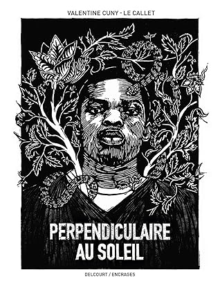 Perpendiculaire au soleil