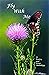 Fly With Me: A Poetry and Prose Anthology (OMP Anthology Series Book 33)