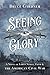 Seeing Glory: A Novel of Family Strife, Faith, and the American Civil War