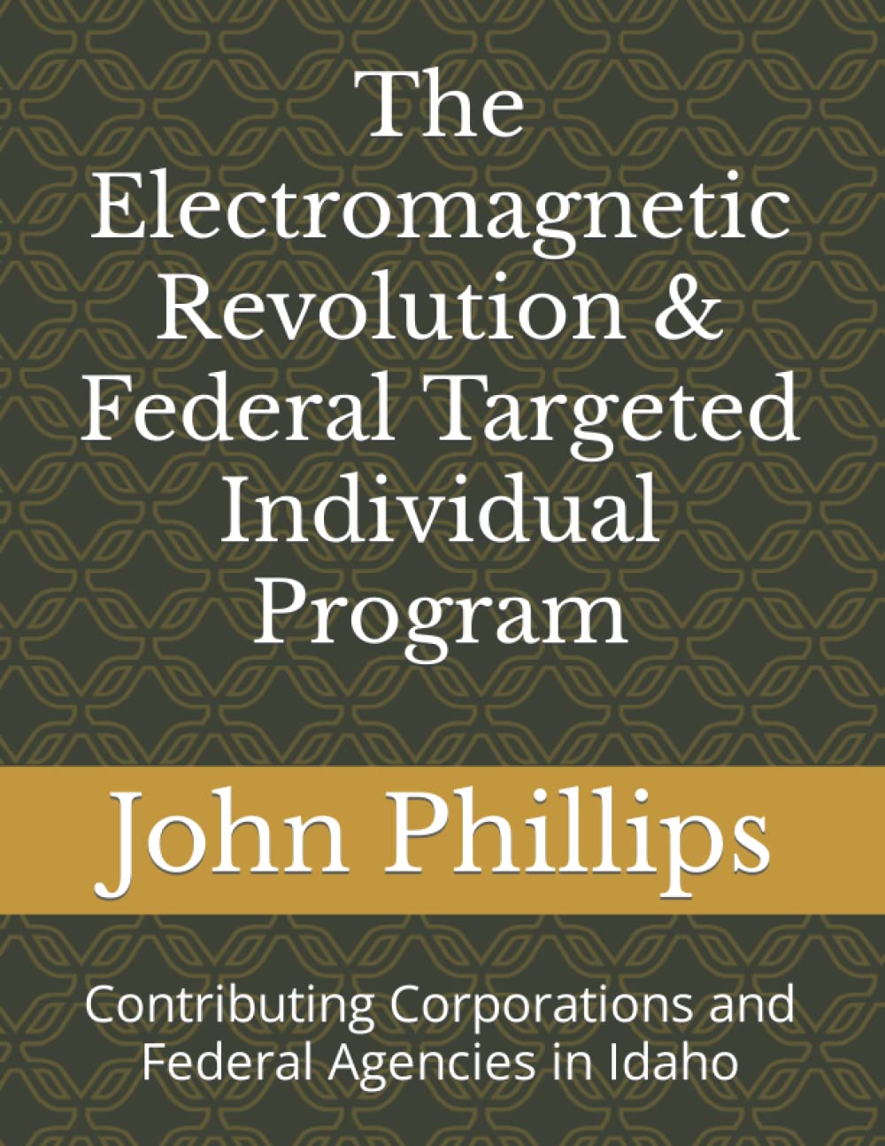 The Electromagnetic Revolution & Federal Targeted Individual Program: Contributing Corporations and Federal Agencies in Idaho (Paperback)