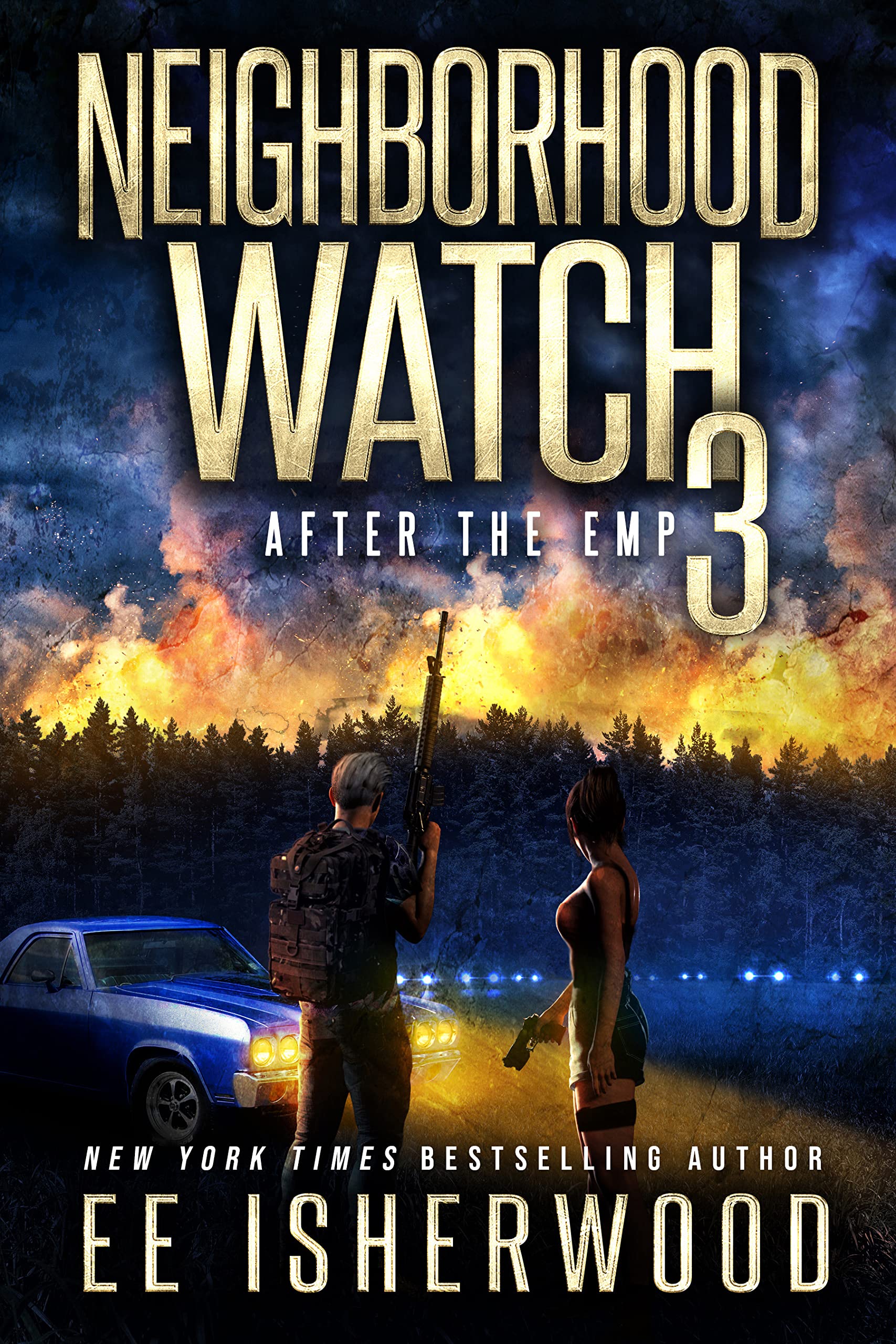Neighborhood Watch 3: After the EMP (Kindle Edition)