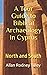 A Tour Guide to Biblical Archaeology in Cyprus by Allan Rodney Tilley
