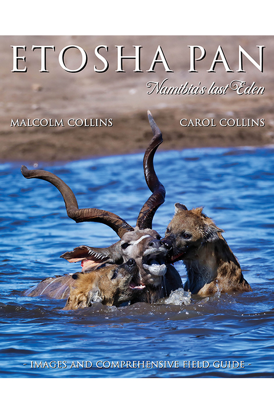 Etosha Pan (Paperback)