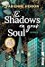 The Shadows on your Soul by Fabienne Herion