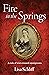 Fire in the Springs by Lisa Schliff