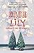 Dvanásť dní do Vianoc (Dash a Lily, #2)