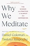 Why We Meditate by Daniel Goleman
