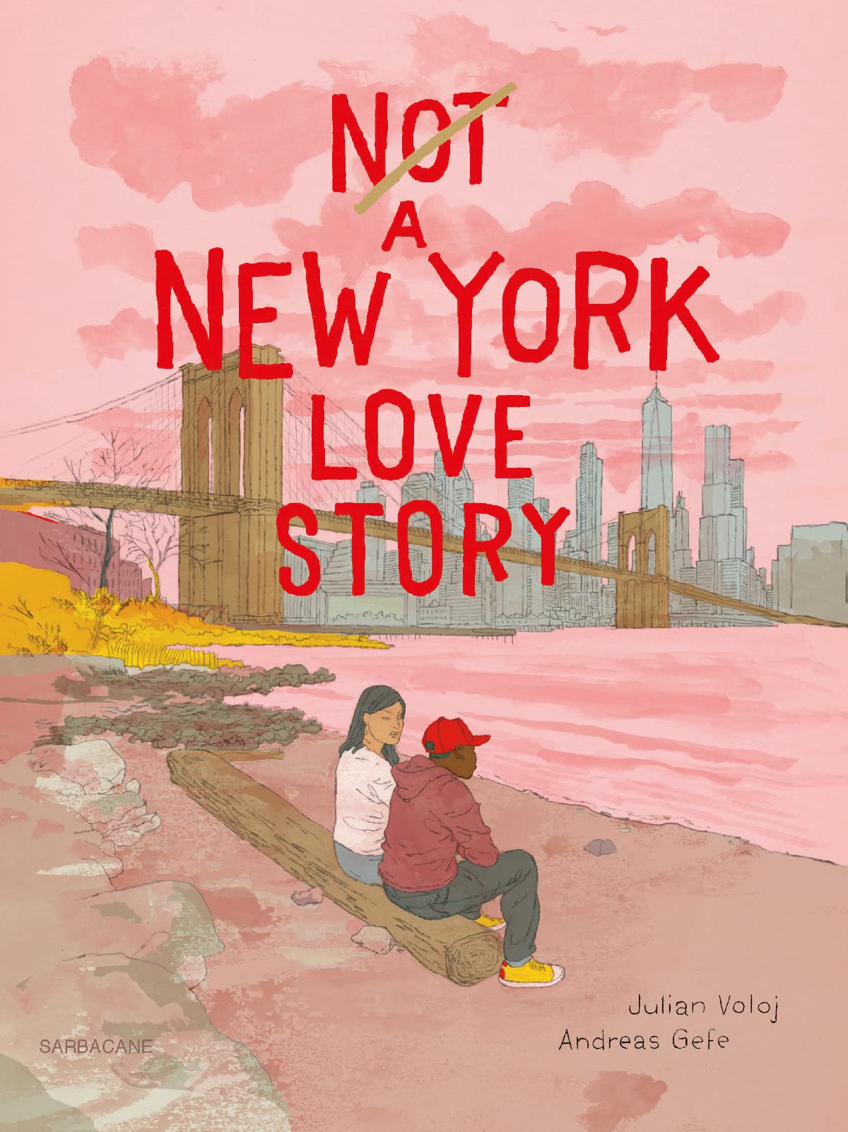 Not a New York Love Story (Hardcover)