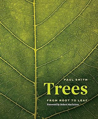 Trees: From Root to Leaf
