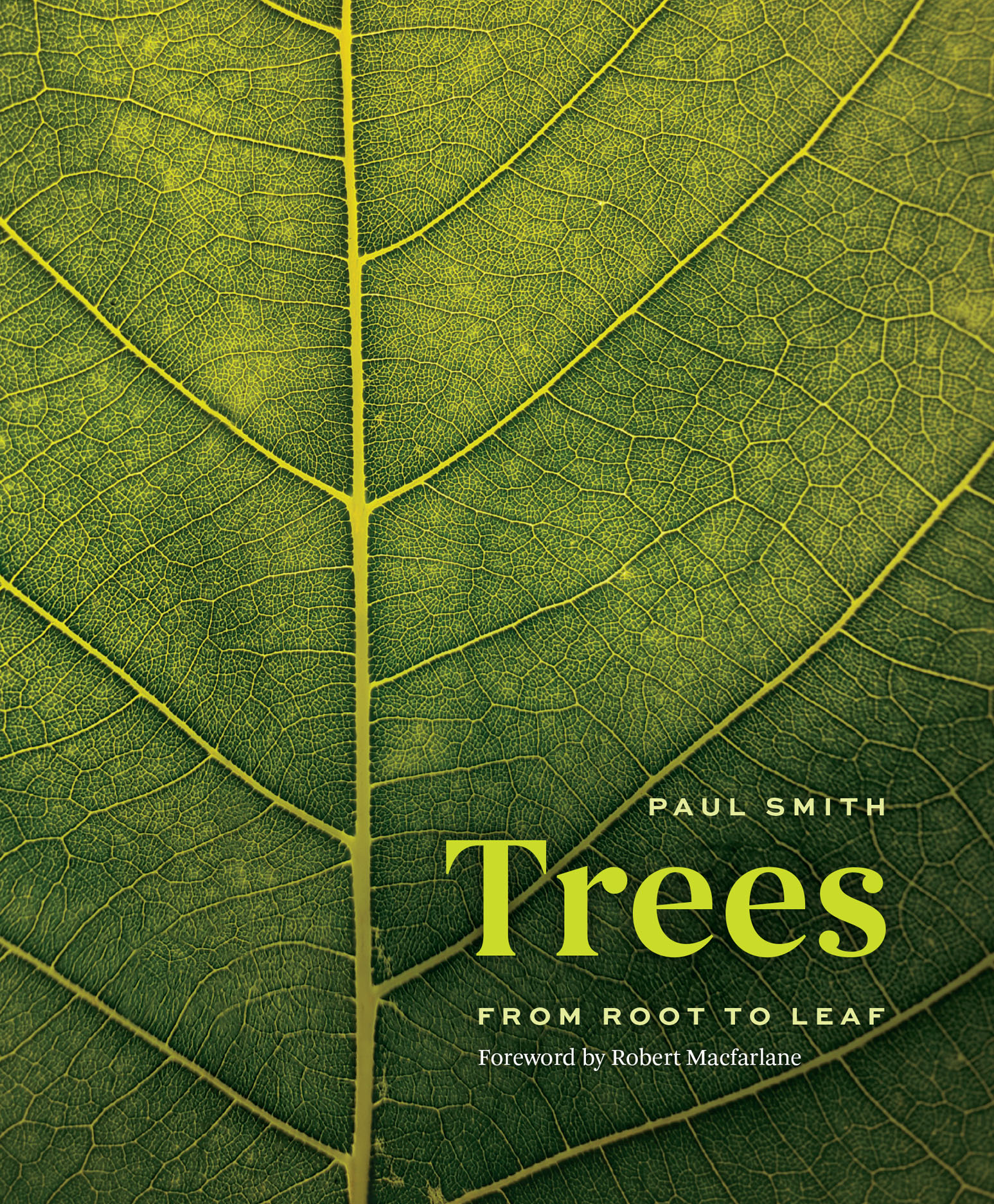 Trees: From Root to Leaf (Hardcover)