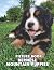 The Picture Book Of Bernese Mountain Puppies by Angel Woods