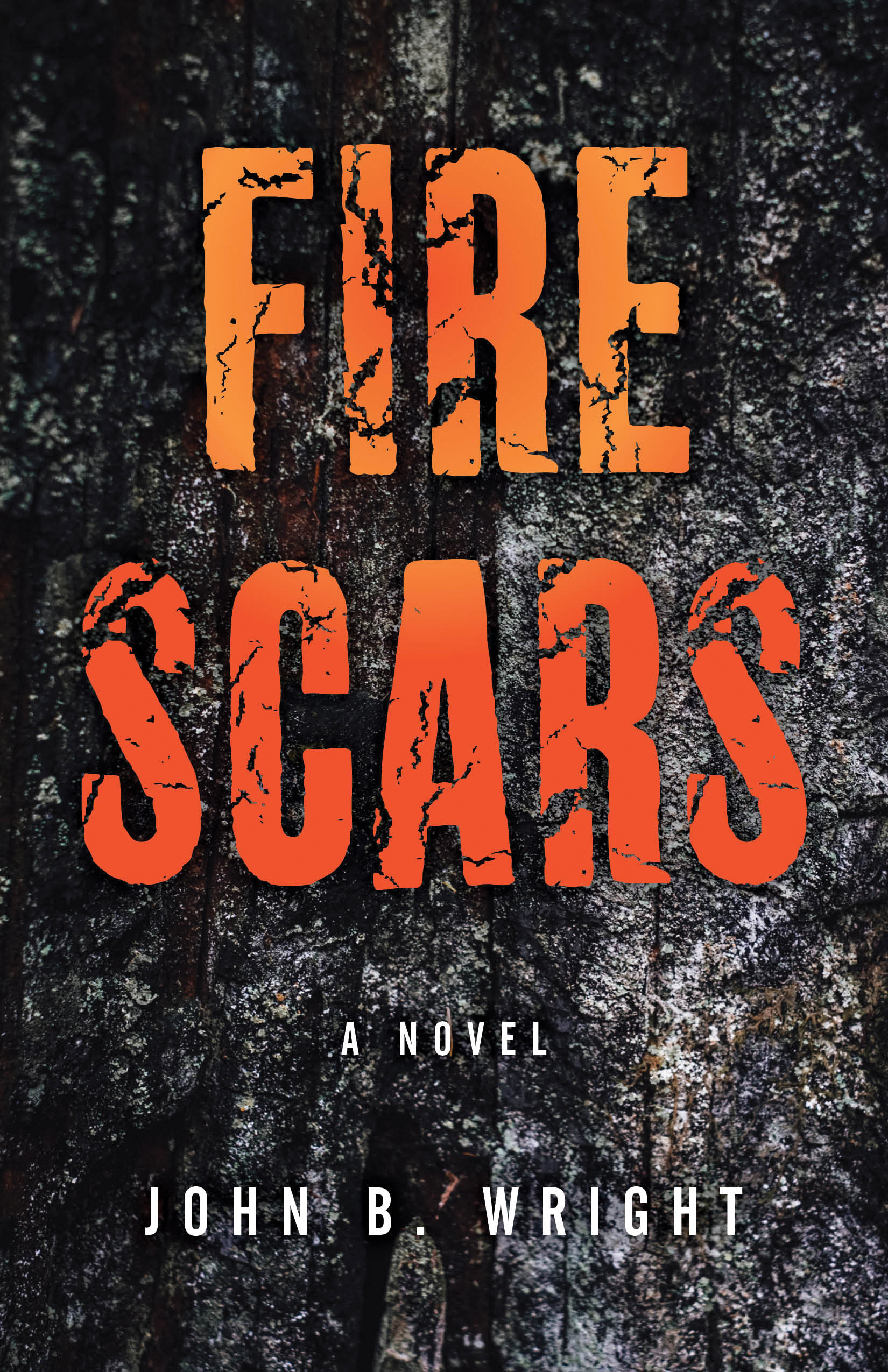 Fire Scars: A Novel (Paperback)
