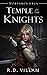 Northmen Saga: Temple of th...