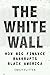 The White Wall: How Big Finance Bankrupts Black America