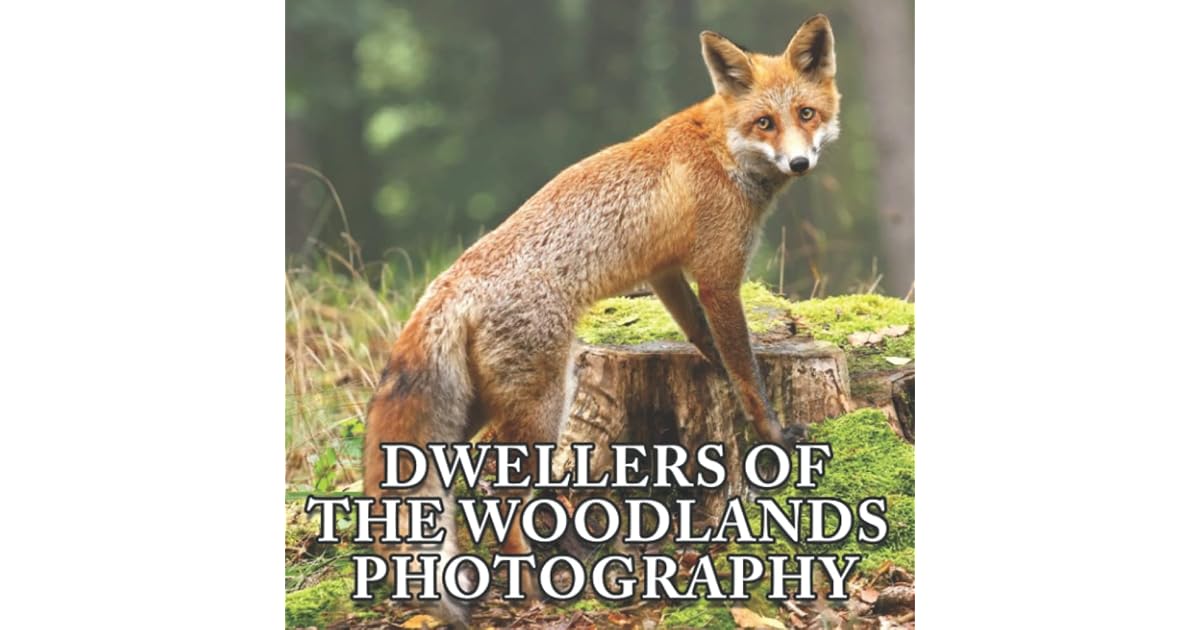 Dwellers Of The Woodlands Photo Book Compelling Photos Of Dwellers Of