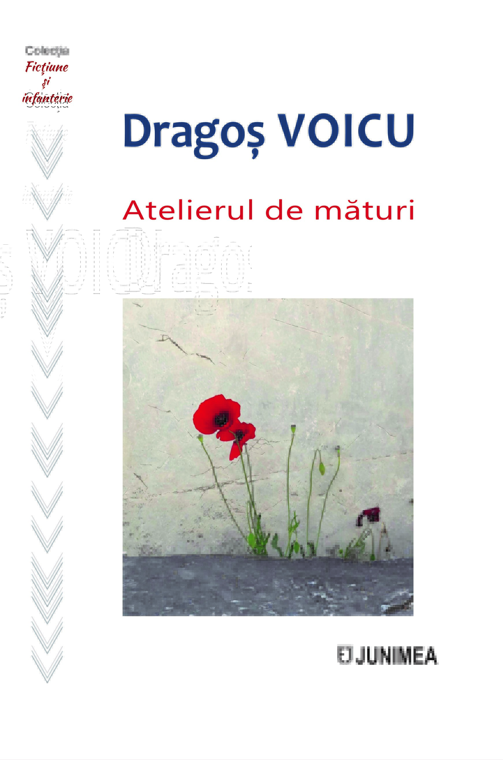 Atelierul de mături