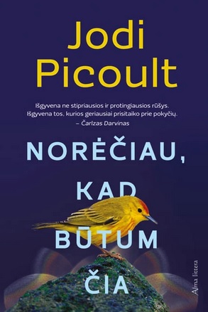 Norėčiau, kad būtum čia