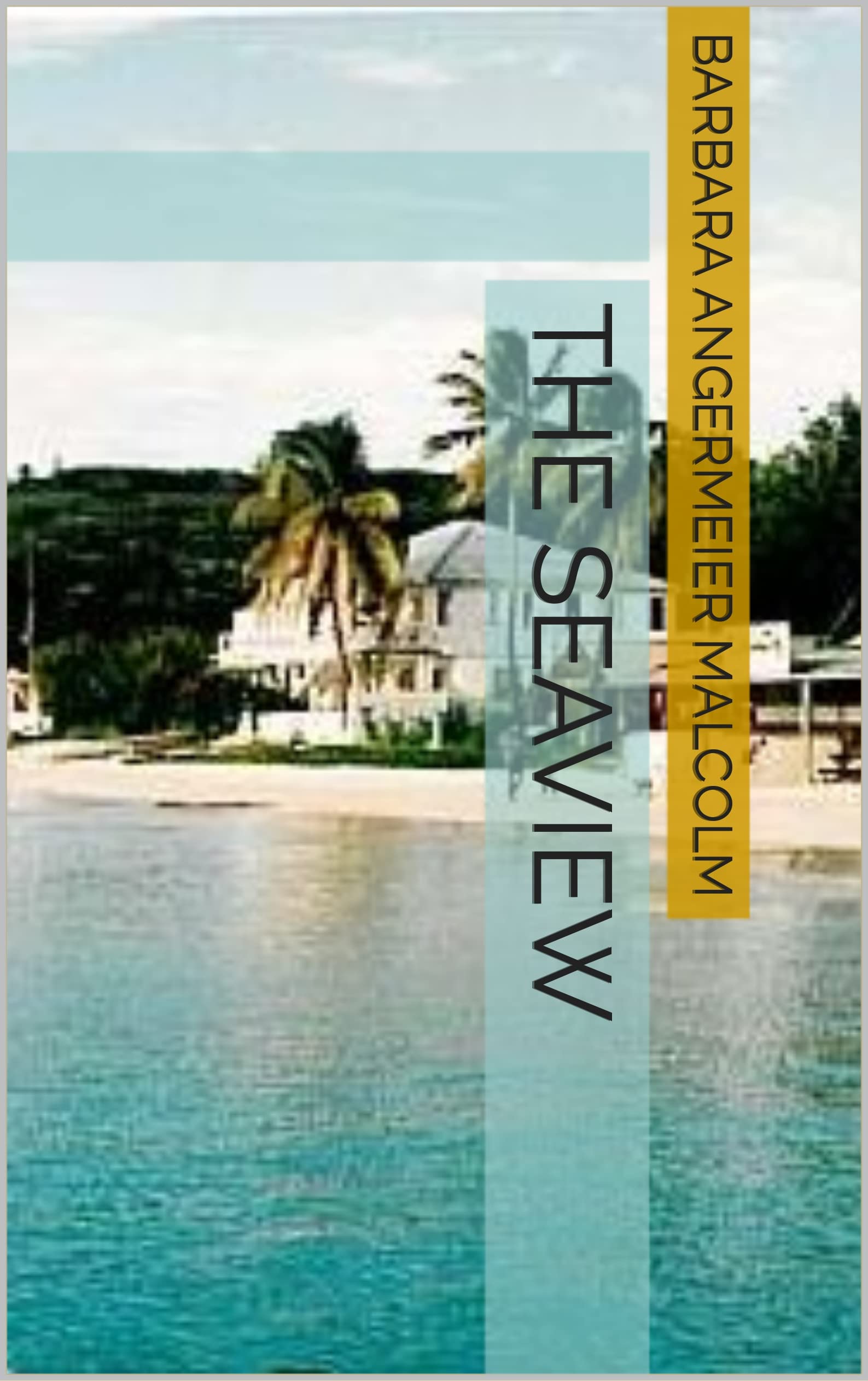 The Seaview: Caribbean love after loss. (The Seaview Series Book 1)