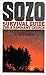 Sozo: Survival Guide for a Remnant Church