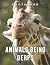 A Photo Book Of Animals Bei...