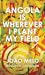 Angola is Wherever I Plant My Field