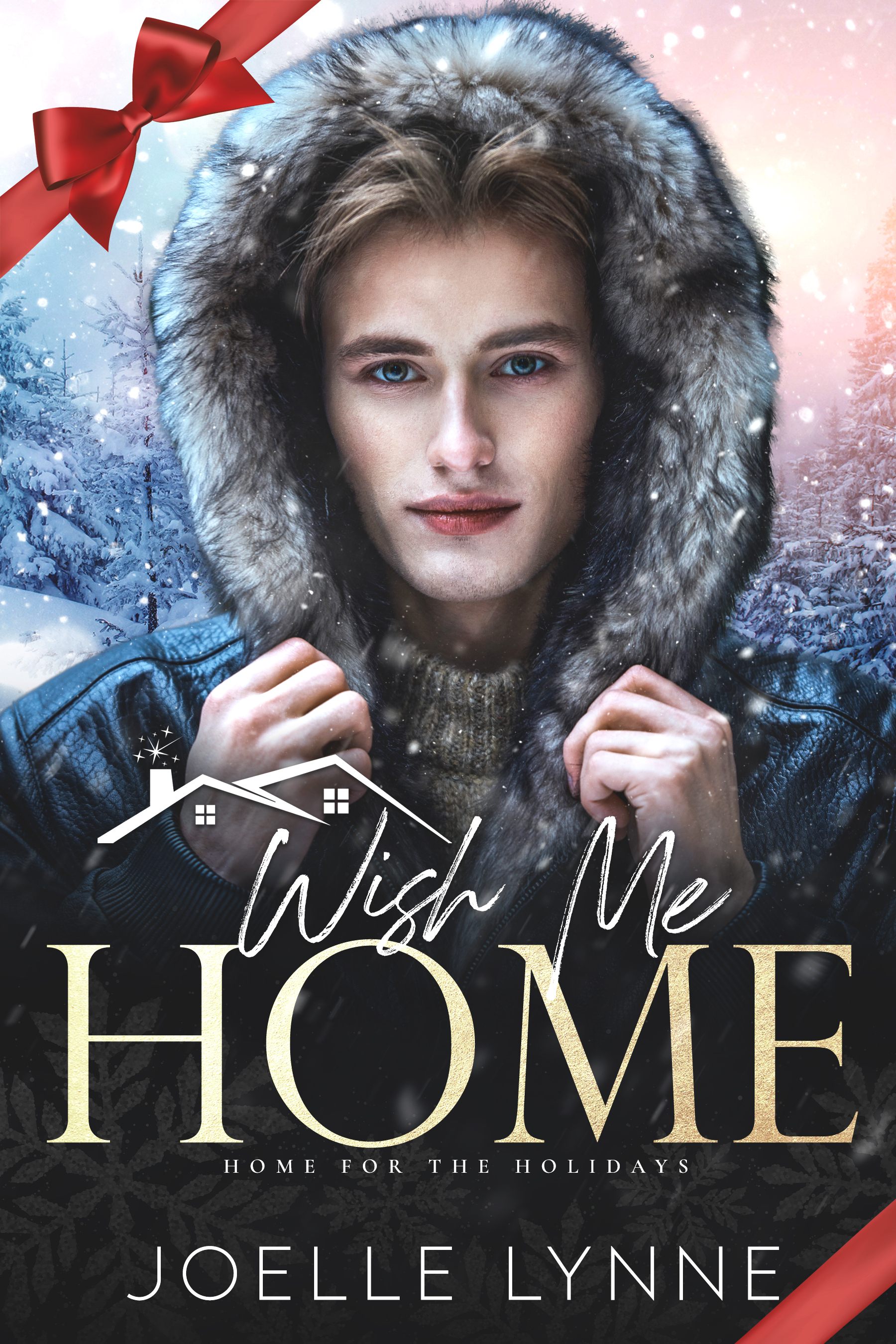 Wish Me Home (Kindle Edition)