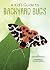 A Kid's Guide to Backyard Bugs