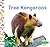 Tree Kangaroos