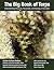 The Big Book of Terps: Understanding Terpenes, Flavonoids, and Synergy in Cannabis (Edition a)