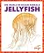 Jellyfish by Bizzy Harris